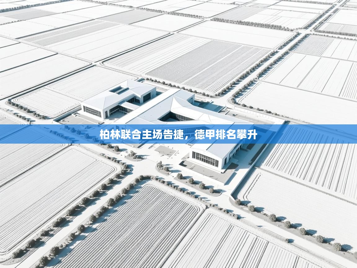 柏林联合主场告捷,德甲排名攀升 第1张