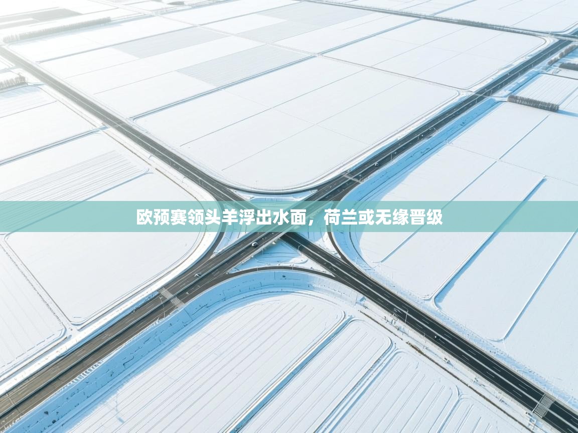 欧预赛领头羊浮出水面,荷兰或无缘晋级 第2张