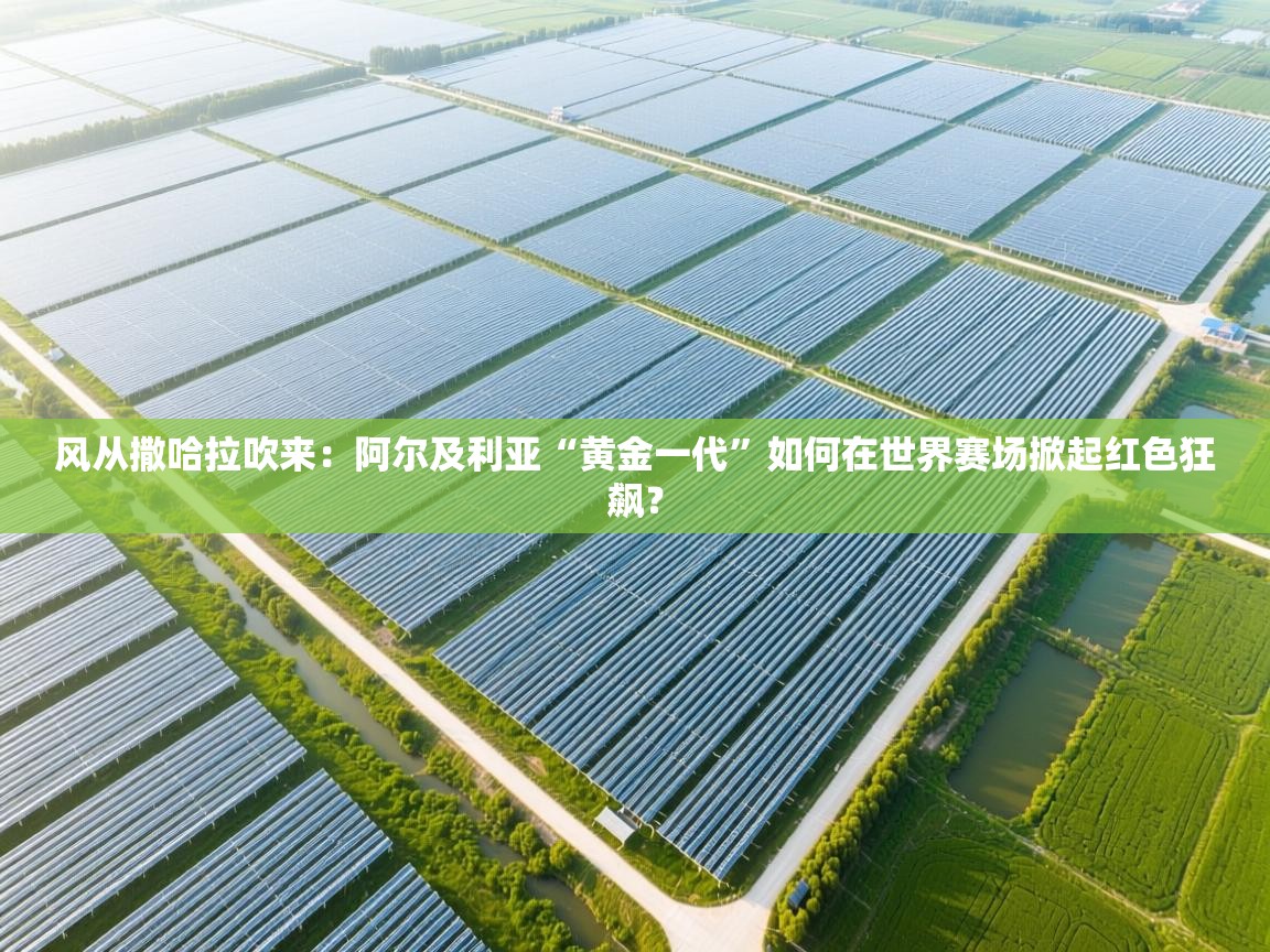 风从撒哈拉吹来：阿尔及利亚“黄金一代”如何在世界赛场掀起红色狂飙？