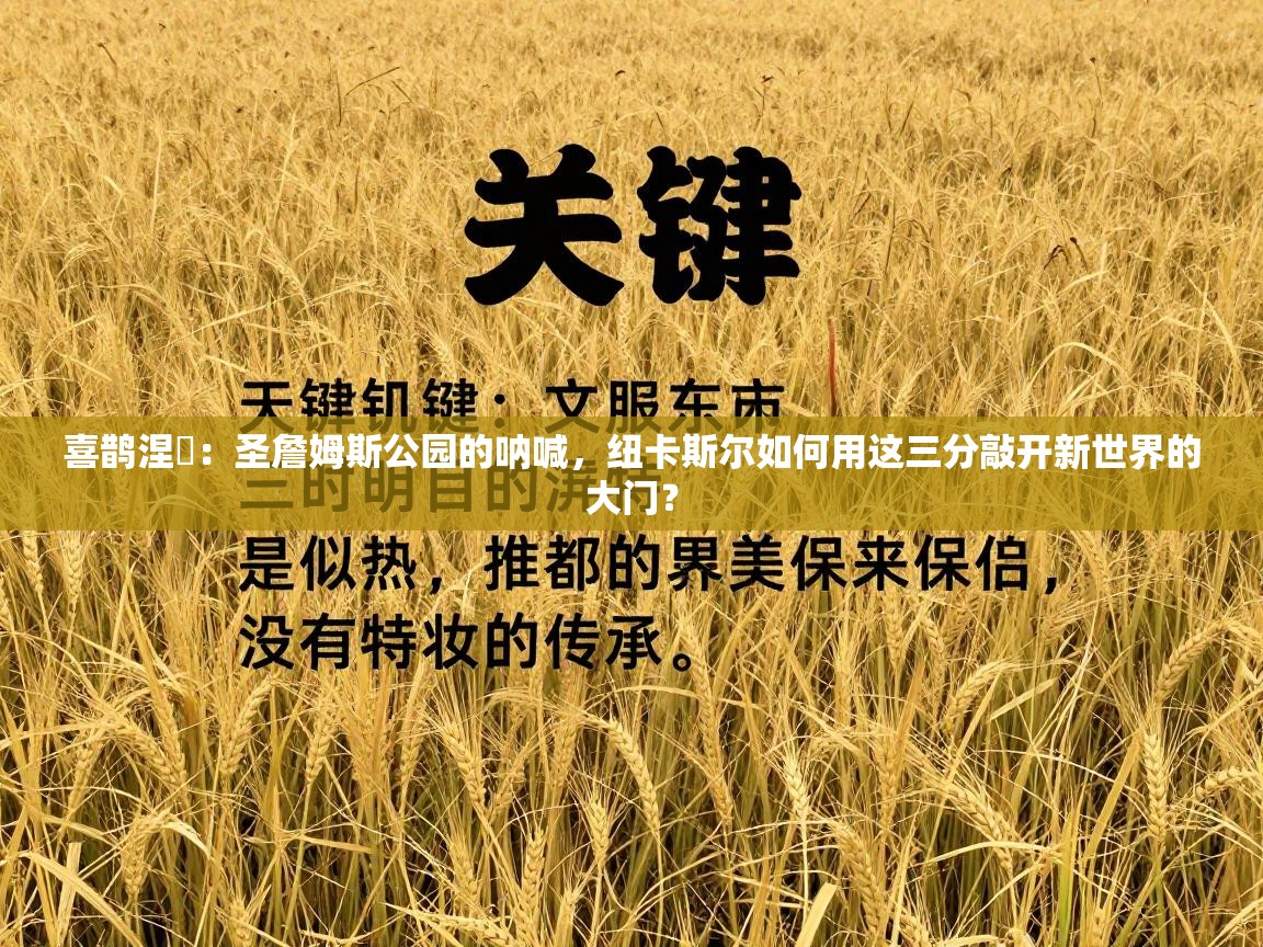 喜鹊涅槃:圣詹姆斯公园的呐喊,纽卡斯尔如何用这三分敲开新世界的大门? 第2张