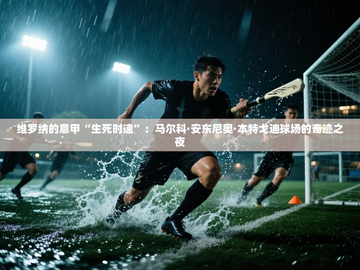 维罗纳的意甲“生死时速”：马尔科·安东尼奥·本特戈迪球场的奇迹之夜  第2张