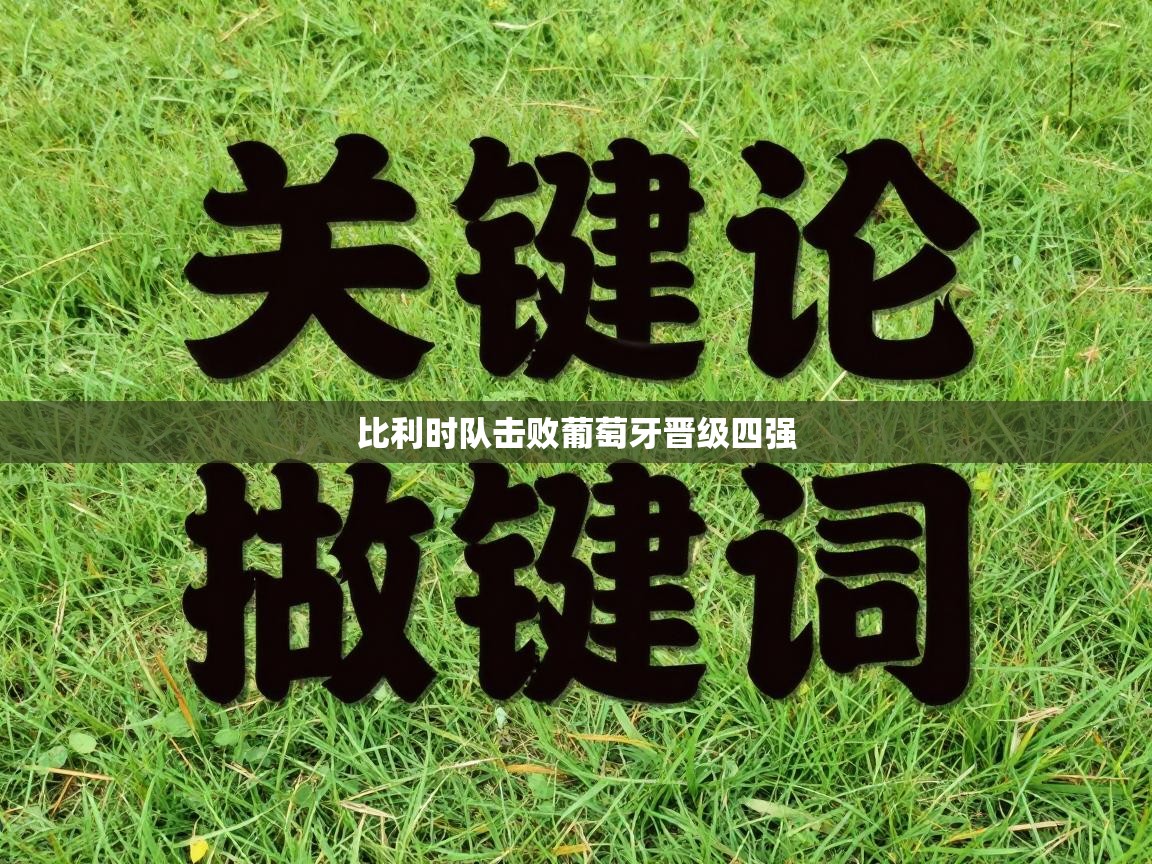 比利时队击败葡萄牙晋级四强  第2张