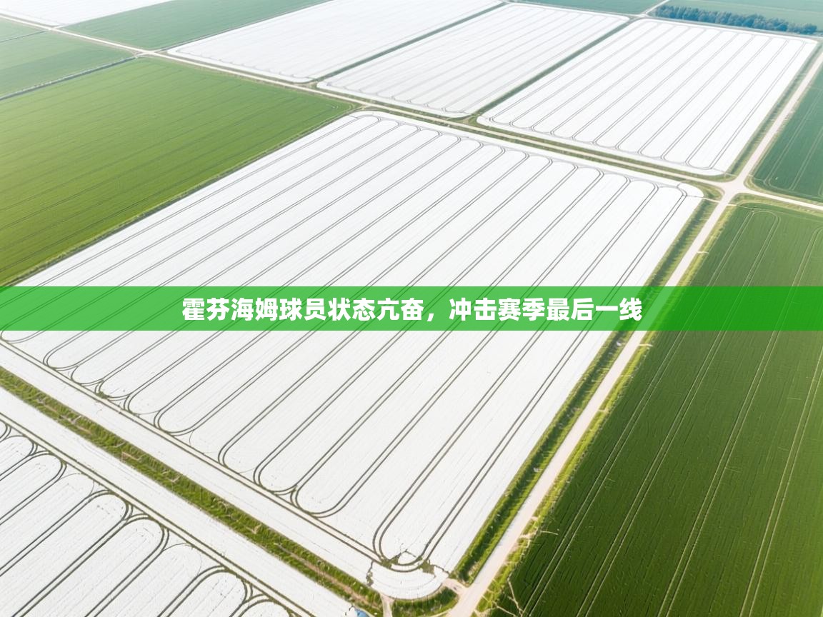 霍芬海姆球员状态亢奋，冲击赛季最后一线  第2张