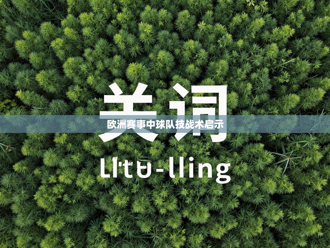 欧洲赛事中球队技战术启示  第2张