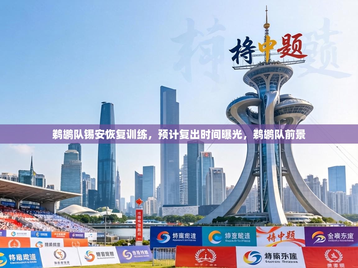 鹈鹕队锡安恢复训练,预计复出时间曝光,鹈鹕队前景 第1张